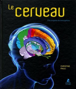 Le cerveau - à la conquête des hémisphères