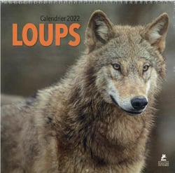 Loups : calendrier (édition 2022)