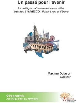 Un passé pour l'avenir - la politique patrimoniale de trois villes inscrite à l'unesco : porto, lyon et vérone
