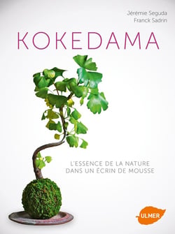 Kokedama - art végétal japonais