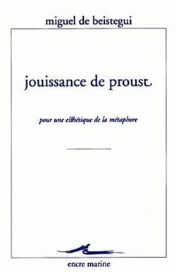 Jouissance de proust : Pour une esthétique de la métaphore