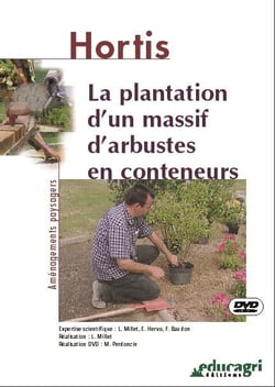 La plantation d'un massif d'arbustes en conteneurs