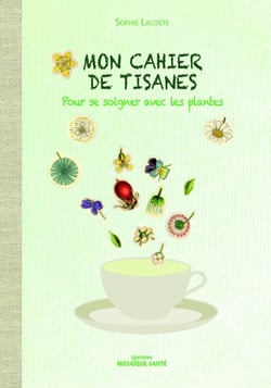 Mon cahier de tisanes - pour se soigner avec les plantes
