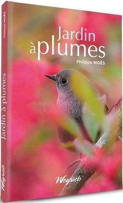 Jardin à plumes : aménagements pour accueillir les oiseaux