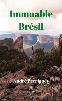 Immuable Brésil