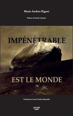 Impénétrable est le monde : aphorismes et fragments