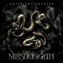 Catch 33