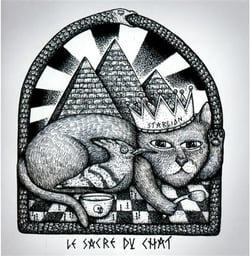 Le sacre du chat
