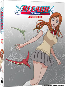 Bleach - Partie 5