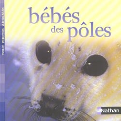 Bebes des poles