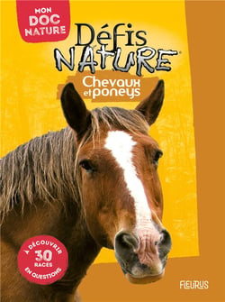 Chevaux et poneys