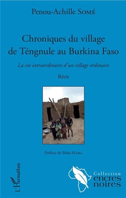 Chroniques du village de Téngnule au Burkina Faso - la vie extraordinaire d'un village ordinaire