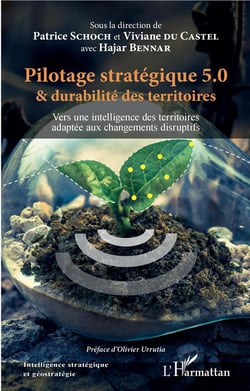 Pilotage stratégique 5.0 et durabilité des territoires - vers une intelligence des territoires adaptée aux changements disruptifs²
