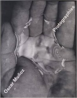 Protographies
