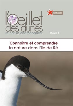 CONNAITRE ET COMPRENDRE LA NATURE DANS L'ILE DE RE - OEILLET DE DUNES T1