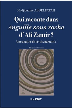 Qui raconte dans anguille sous roche d'Ali Zamir ? une analyse de la voix narrative