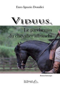 Viduus, le parchemin du chevalier affranchi