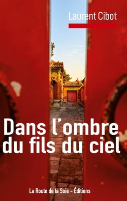 Dans l'ombre du fils du ciel : les destin extraordinaire de Pierre Martial Cibot, jésuite a la cour
