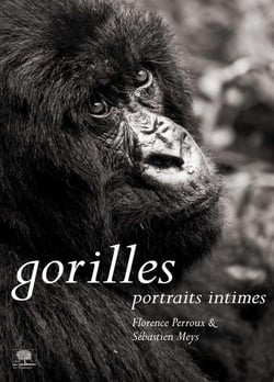 Gorilles - portraits intimes