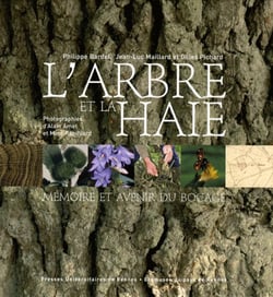 Arbre et la haie