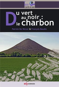 Du vert au noir, le charbon