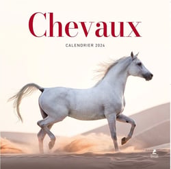 Chevaux : calendrier (édition 2024)