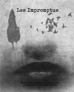 Les impromptus t.2 - revue artistique littéraire d'oeuvres en collaboration