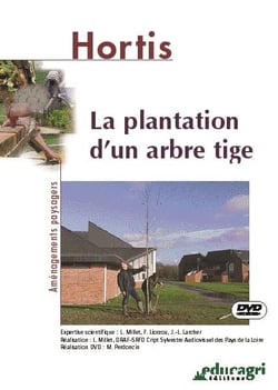 La plantation d'un arbre tige