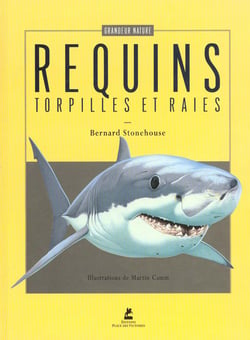 Les requins, les torpilles et les raies