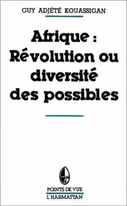 Afrique : révolution et diversité des possibles