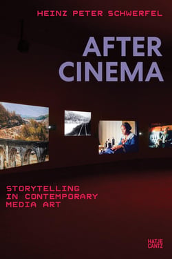 Heinz Peter Schwerfel : After cinema