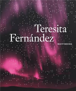 Teresita fernandez - wayfinding