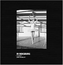 David goldblatt in boksburg