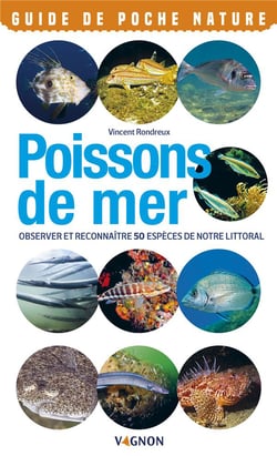 Poissons de mer - observer et reconnaître 50 espèces de notre littoral