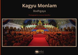 Kagyu monlam bodhgaya