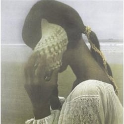 Allah Las