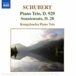 Trio Pour Piano D.929 - Sonatensatz D.28