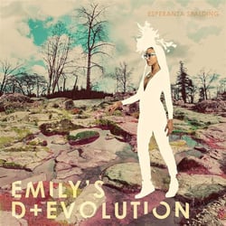 Emily's d + evolution