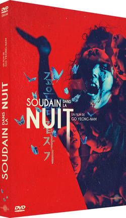 Soudain dans la nuit