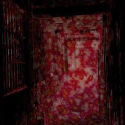 ASYLUM