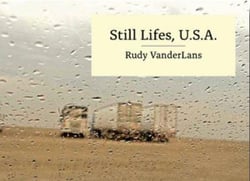 Rudy vanderlans still lifes, u.s.a.