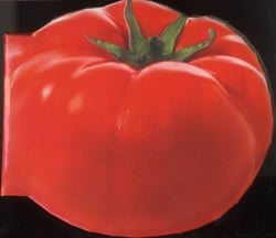 Tomate - les meilleures recettes