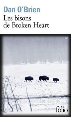 Les bisons de Broken Heart