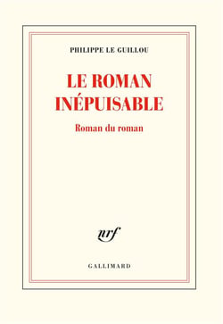 Le roman inépuisable - roman du roman