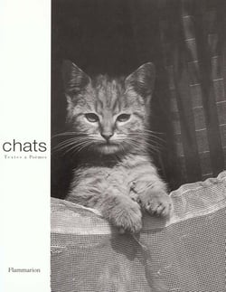 Les chats