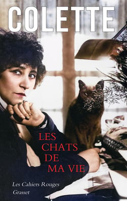 Les chats de ma vie
