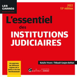 L'essentiel des institutions judiciaires : un panorama des différents organes de la justice et de leur fonctionnement (13e édition)