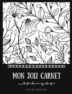 Mon joli carnet : ... sans savoir dessiner !