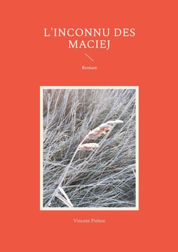 L'inconnu des Maciej : Roman