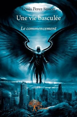 Une vie basculée